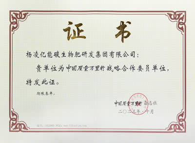 行业荣誉