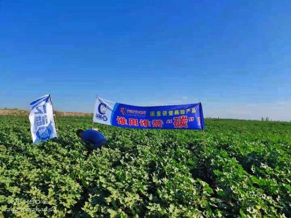 碳肥赋能 共建农产品品质新高地——杨凌亿能碳生物肥研发集团有限公司的绿色农业实践