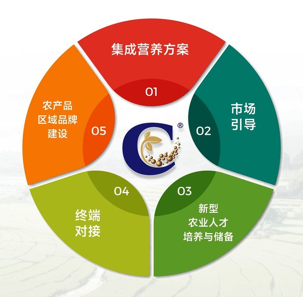 亿能碳“五位一体”战略服务体系图示