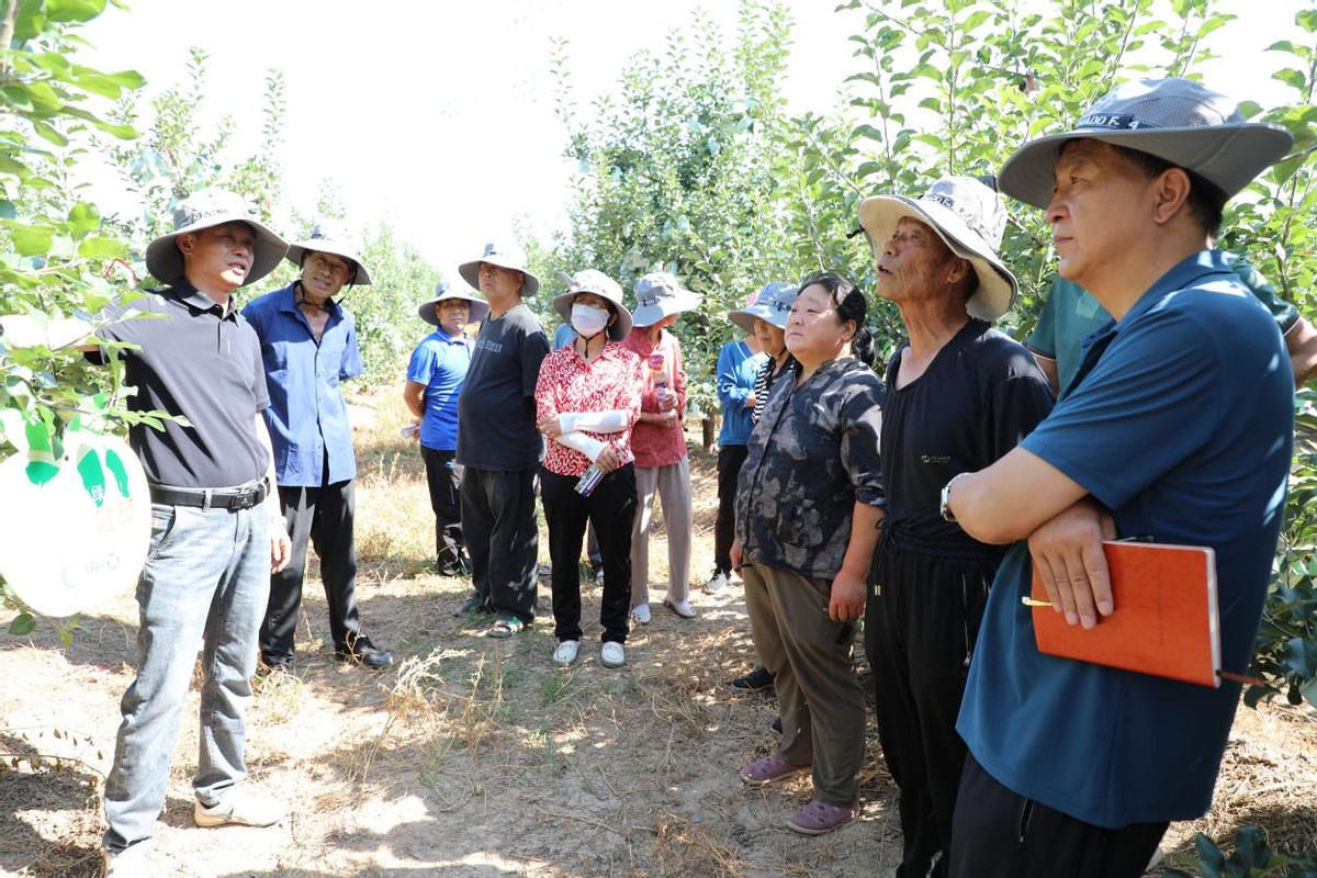 杨凌亿能碳生物肥研发集团有限公司相关负责人介绍亿能碳壮能组合使用方法