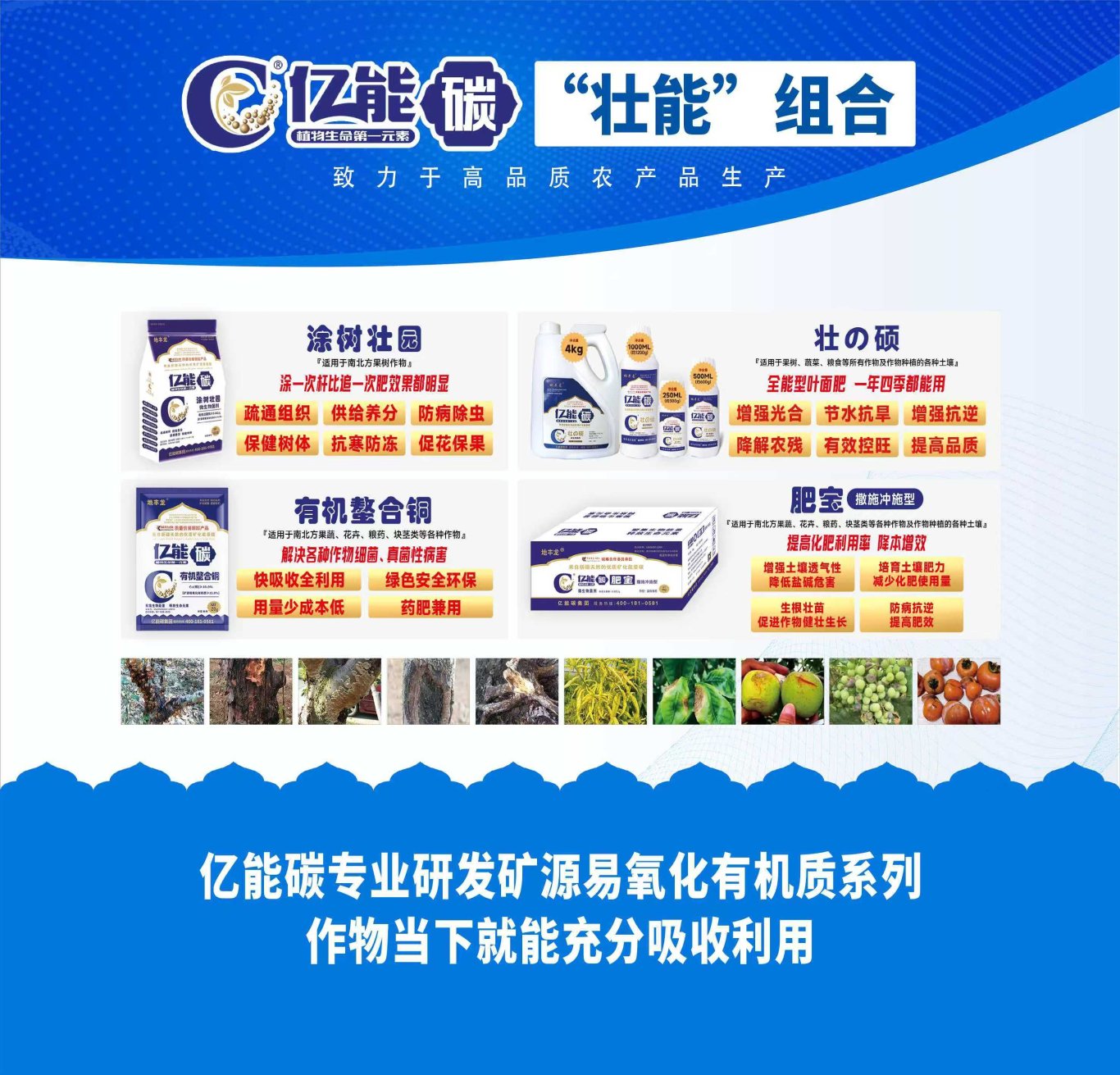 亿能碳“壮能”组合系列产品