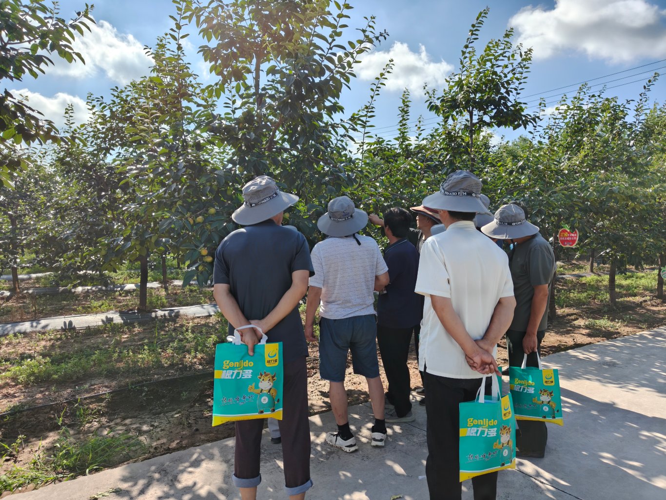 柿农现场观摩并探讨亿能碳“壮能”组合施用试验效果